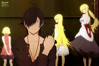 Koyomi Araragi HD Wallpaper Background Image