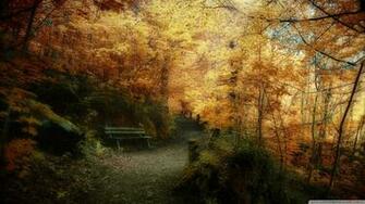 Fall Wallpaper Autumn HD Tranquility Of