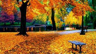 Fall Colors Wallpaper Related Keywords Amp Suggestions