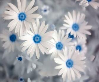 Summer Screensavers And Wallpaper Trending Space