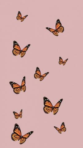 Soft Girl Aesthetic Butterfly Lock Screen iPhone In