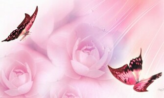 Pretty Pink Butterfly HD Wallpaper