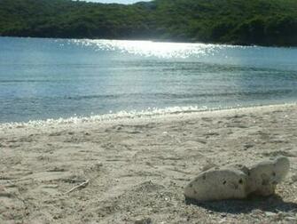 Wallpaper Customizations In St John Usvi Us Virgin Islands