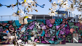 Top Northeastern University Wallpaper Full HD 4k To Use