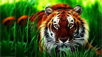 3d Wallpaper 1080p R54dqv4 4usky