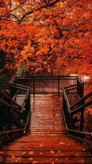 Grunge Fall Aesthetic Wallpaper