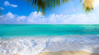 Ocean Summer Wallpaper