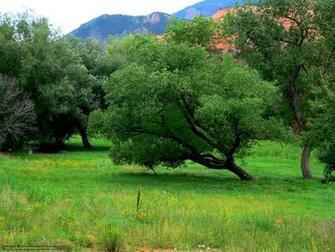 Wallpaper Colorado Springs Red Rock Canyon