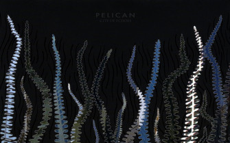 Music Pelican Wallpaper