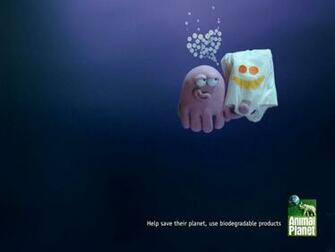 Box Jellyfish Wallpaper