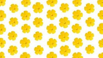 Why You Should Add More Yellow To Your Life Cnn