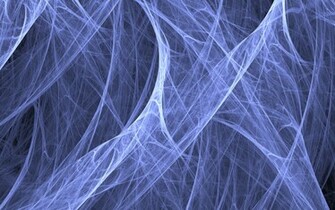 Burramundi Spider Webs Desktop Wallpaper
