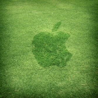 iPad Apple Grass Wallpaper