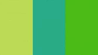 Resolution June Bud Jungle Green And Kelly Solid
