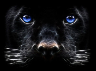 Dark Animals Wallpaper
