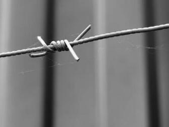 Democrats Should Listen To Kim Kardashian On Prison Reform