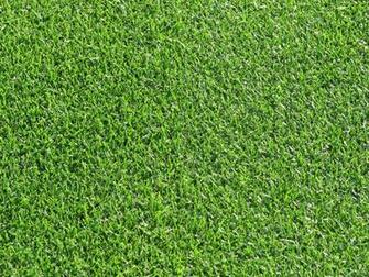 Blue Grass Grasscloth Wallpaper