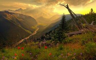 Hilltop Mountain Skys