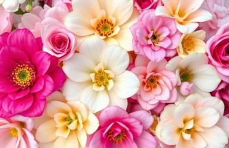 Love Flower Wallpaper