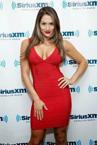 Best HD Wallpaper Of Nikki Bella Hot Sexy Photos Gallery