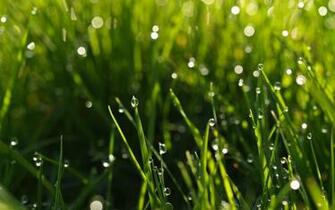 Best Nature Wallpaper Ever Image Crazy Gallery