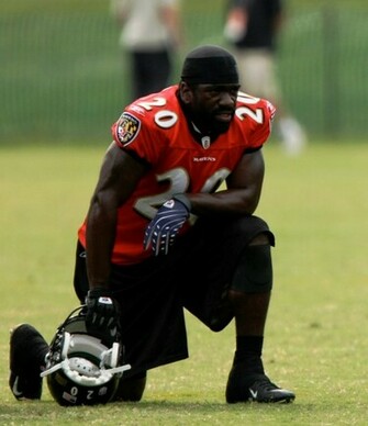 Ed Reed Stats HD Wallpaper Football