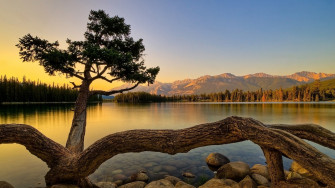 Show Me Your Most Serene Awe Inspiring Mind Soothing Nature