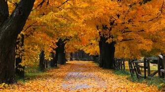 Burlington Ontario Canada