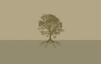 Wallpaper Roots Background Tree Earth Image For Desktop