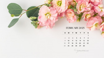 February Calendar Desktop Wallpaper Aesthetic