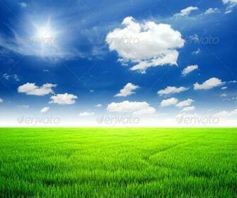 Rice Field Green Grass Blue Sky Cloud Cloudy Landscape Background