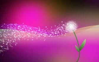 Photoshoot Adobe Photoshop HD Background