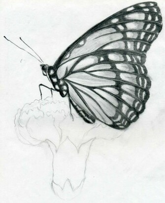 Rare Collection Of Wallpaper Pencil Drawing Painting Art