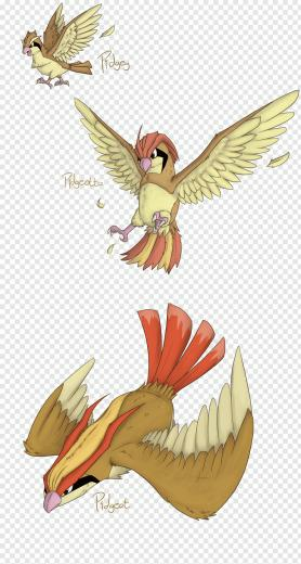 Pidgeotto Pok Mon Pidgey Drawing Pokemon Png Pngwave