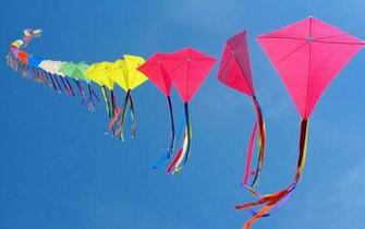 Makar Sankranti Colorful Kites Click To