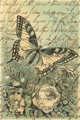 Vintage Butterfly Wallpaper Widescreen HD