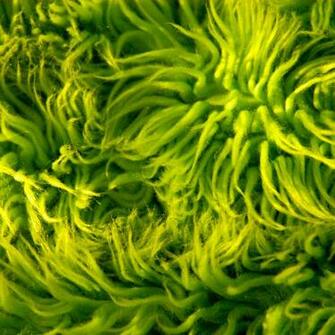 Lime Green Rug Texture iPad Wallpaper