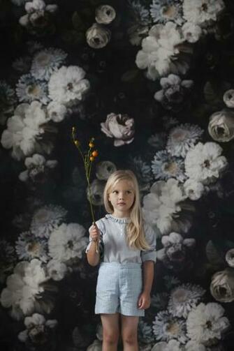 Wallpaper And A Photographer