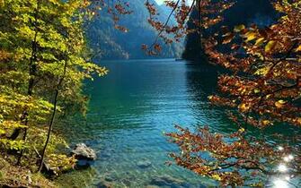 Image Germany Konigsee Nature Autumn Lake Stones Branches