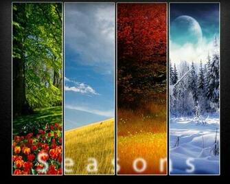 🔥 Free Download Four Seasons In One Beautiful Wallpaper Shiftwallpaper ...