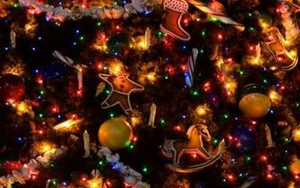 Widescreen Christmas Night Light