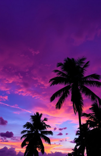 Purple Sunset Wallpaper