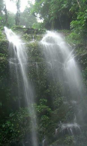 3d Waterfall Live Wallpaper In This A Beautiful