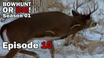 Hunting Ontario Wisconsin And Illinois In The Snow Bowhunt Or Die