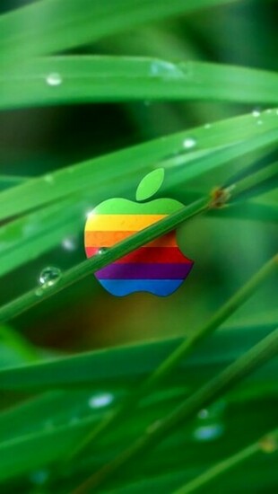 Apple More Search Color In Grass iPhone Wallpaper Tags