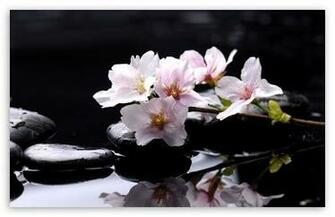 Zen Stones Background HD Wallpaper For Standard Fullscreen