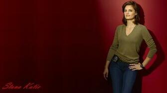 Stana Katic Photo