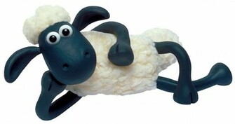 Shaun Jpg