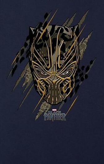 Black Panther Le Plein D Image Promotionnelles Et