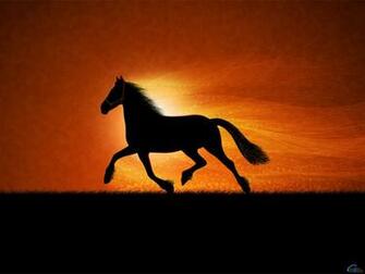 3d Horse Wallpaper Box